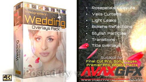 Videohive - Wedding Overlays Pack 21713069