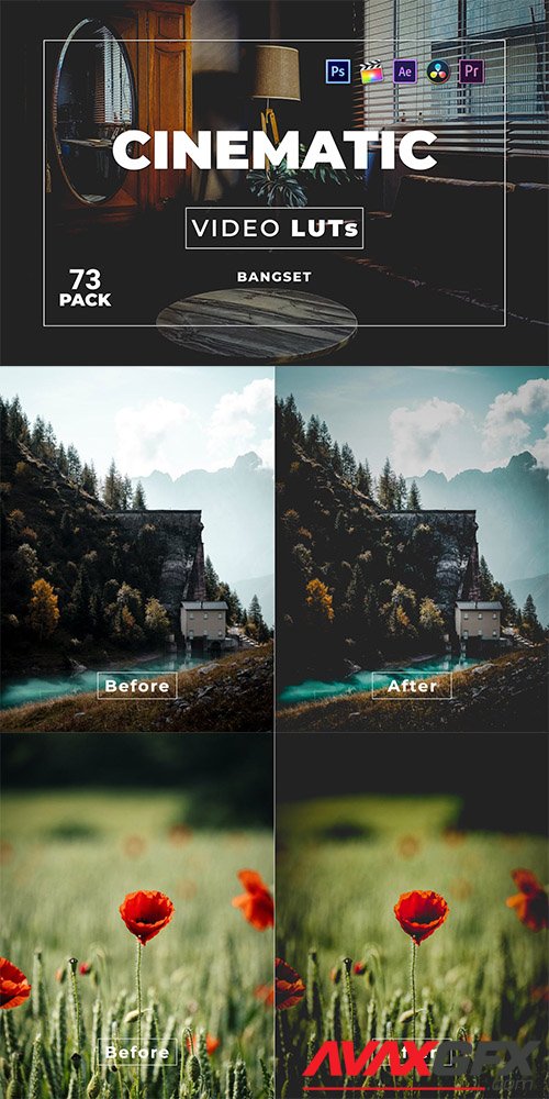 Bangset Cinematic Pack 73 Video LUTs THL7RSC