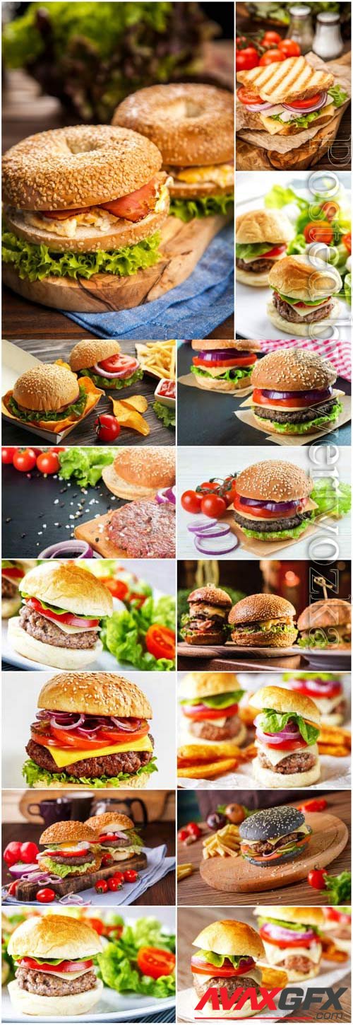 Appetizing burgers stock photo