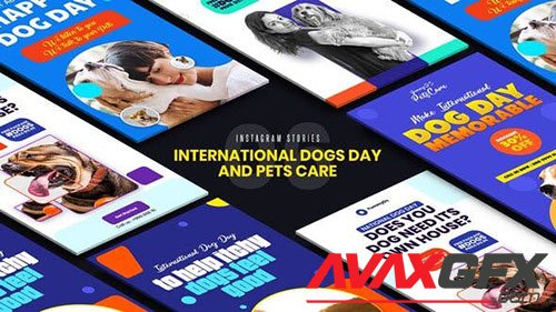 International Dogs Day and Pets Care Instagram Stories 33285007 (VideoHive)