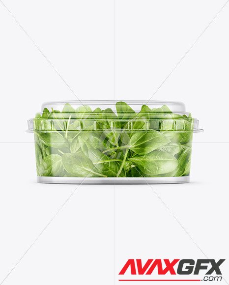 Clear Plastic Container with Salad Mockup 86698