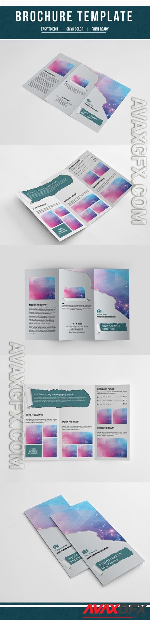 AdobeStock Trifold Brochure Layout with Paper Tear Element 4 189528172