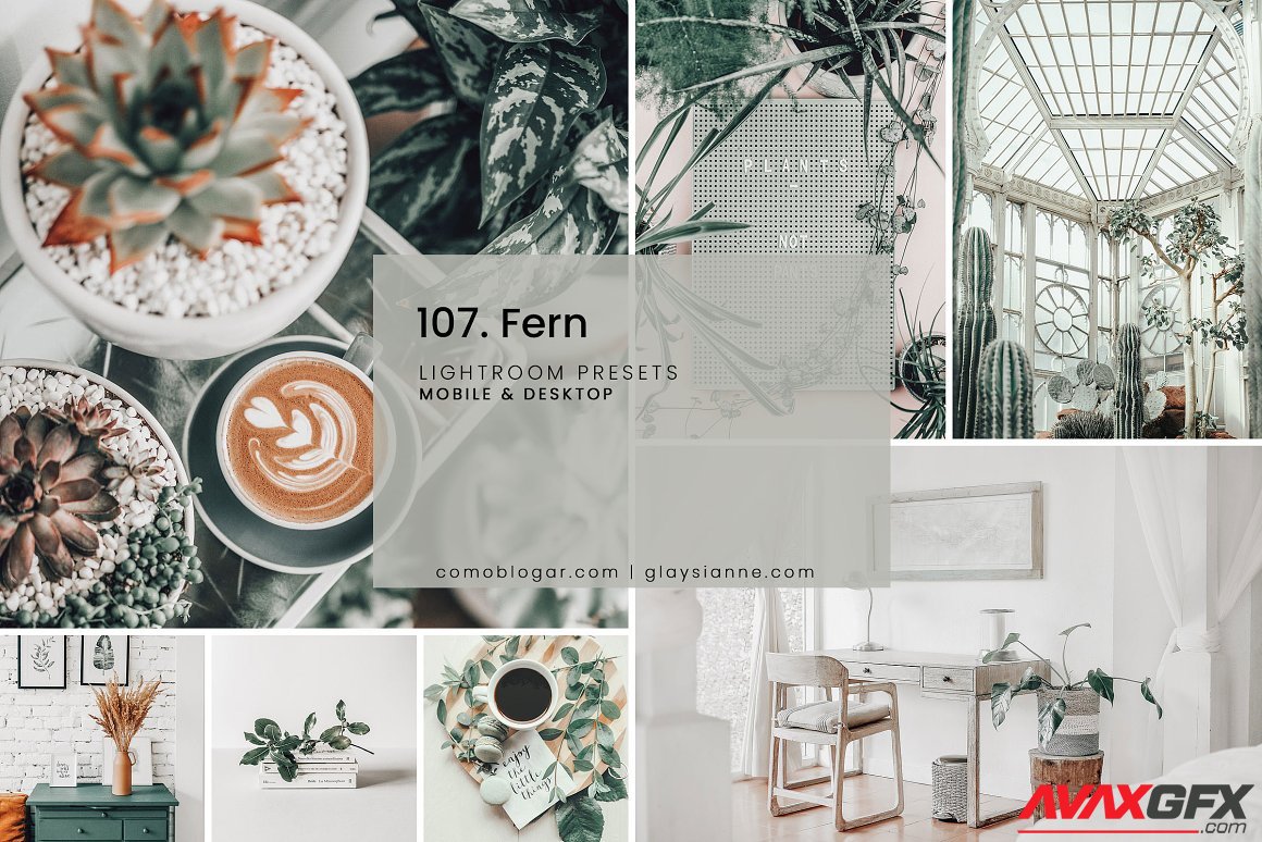 CreativeMarket - 107. Fern Presets 5741108