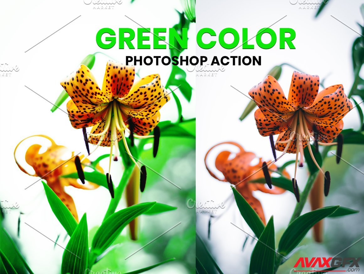 CreativeMarket - Green Color Photoshop Action 5953604