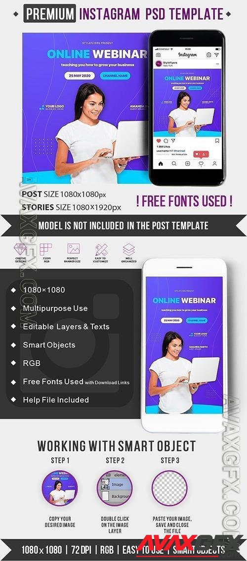 Online Webinar Instagram Post and Story Template