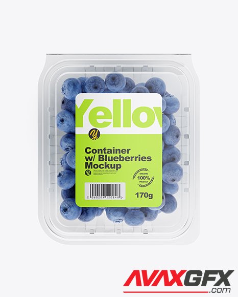 Container w/ Blueberries Mockup 42190