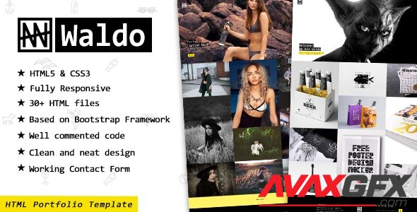ThemeForest - Waldo v1.0 - Portfolio Showcase Website Template for Freelancers & Agencies - 17841590