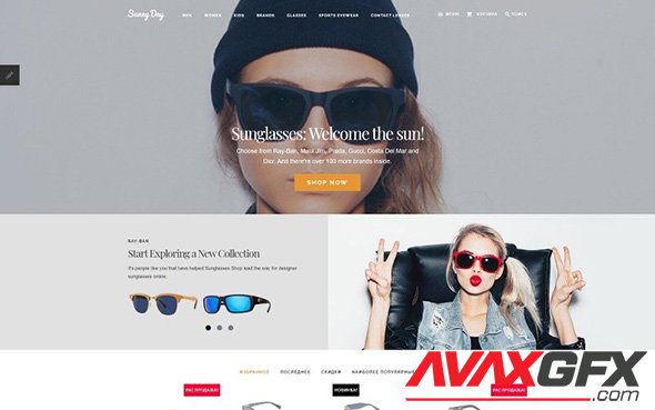 Sunny Day v1.0 - OpenCart Template - TM 60079