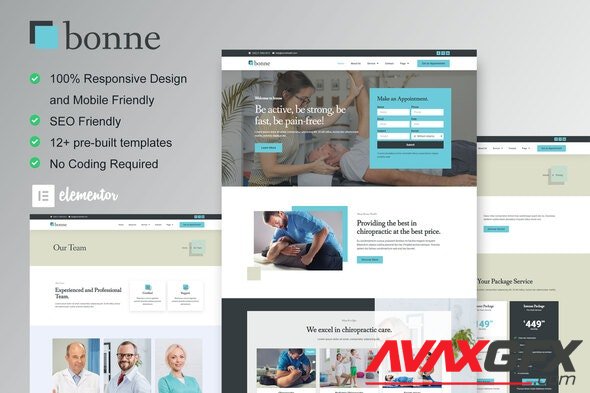 ThemeForest - Bonne v1.0.0 - Chiropractic Physiotherapy Elementor Template Kit - 33661319