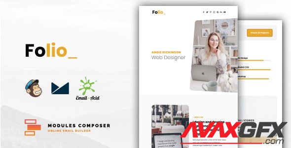 ThemeForest - Folio v1.0 - Personal Portfolio Responsive Email ideal for Creatives with Online Builder - 33636974