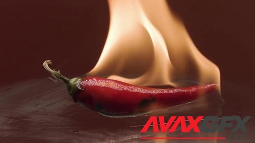 MotionArray – Red Hot Chili Pepper In Fire Flame 1011950