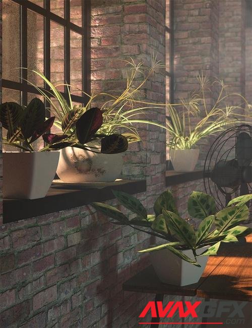 Tropical Plants Vol 4 - House Plants