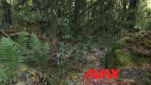 3D Scenery: Wild Mossy Bamboo Forest