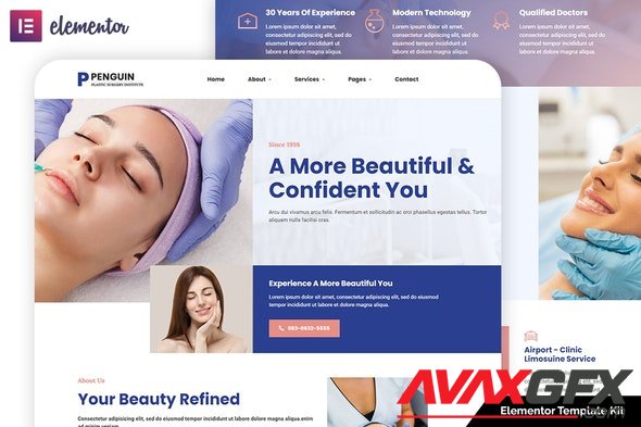 ThemeForest - Penguin v1.0.0 - Plastic Surgery Elementor Template Kit - 33731854