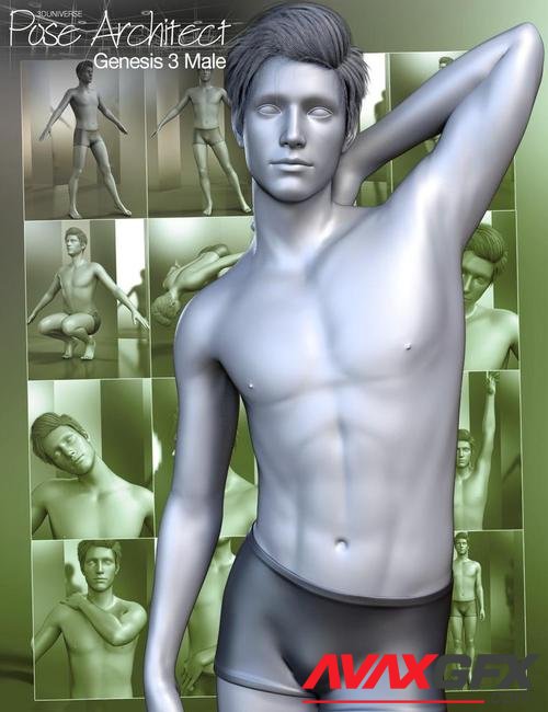 Pose Architect for Genesis 3 Male(s)