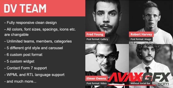 ThemeForest - DV Team v2.0 - Responsive Team Showcase WordPress Plugin - 9962337
