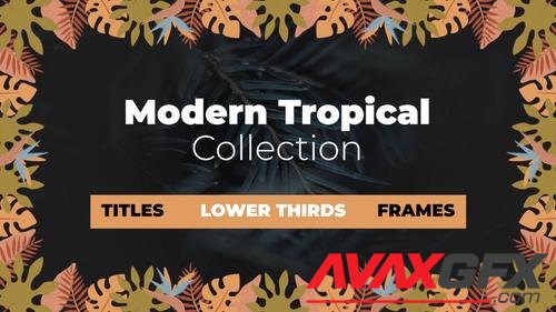 MotionArray – Modern Tropical Collection 959492