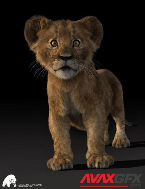 Felidae by AM - Kimbo the Lion Cub