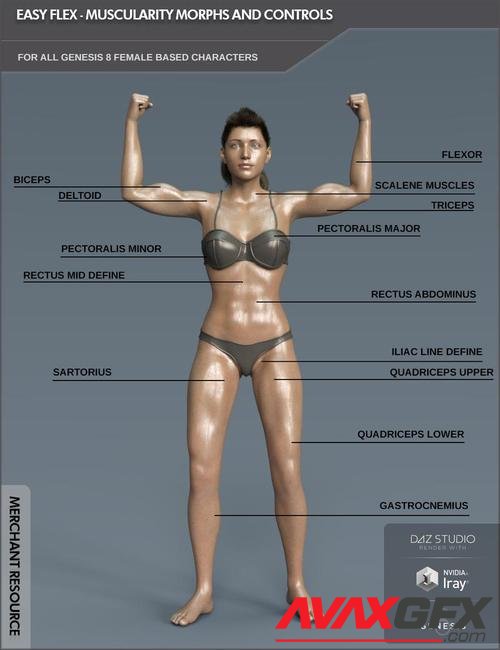 Easy Flex - Muscularity Morphs for Genesis 8 Female and Merchant Resource
