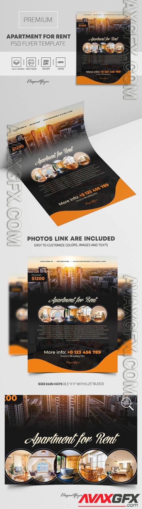 Apartment For Rent Premium PSD Flyer Template