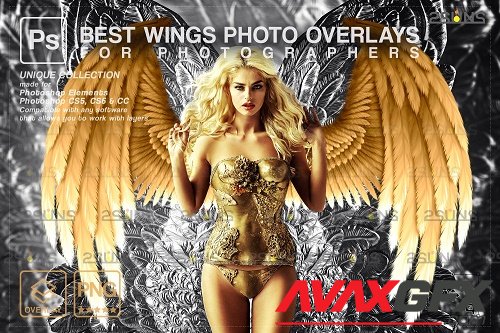 Realistic White Black Gold Angel Wings Photoshop Overlays V2 - 1447938