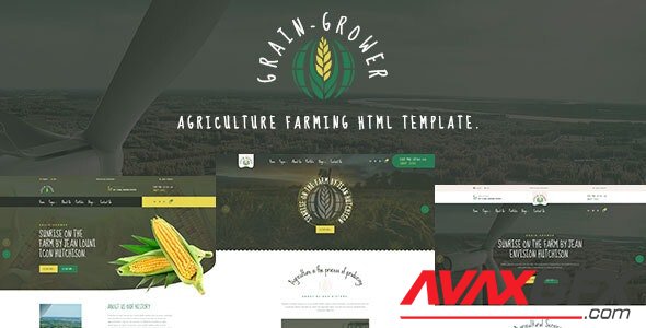 ThemeForest - Grain Grower v1.0 - Agriculture Farm HTML Template - 33786454