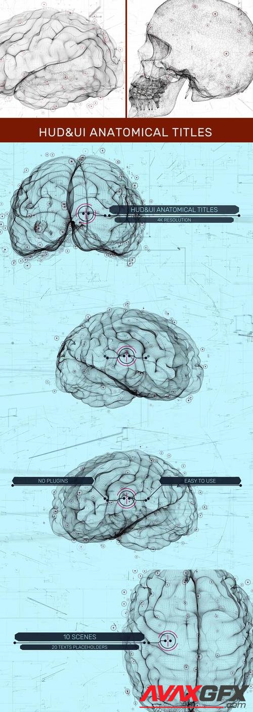 MotionArray – HUD UI Anatomical Titles 989989