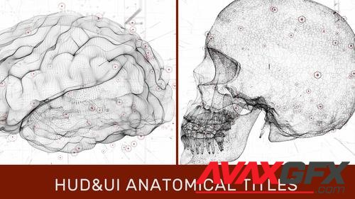 MotionArray – HUD UI Anatomical Titles 989989