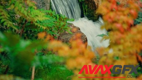 MotionArray – Waterfall In Beautiful Autumn Garden 93209
