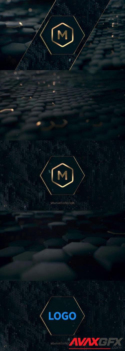 MotionArray – Luxury Hexagon Logo 1032010