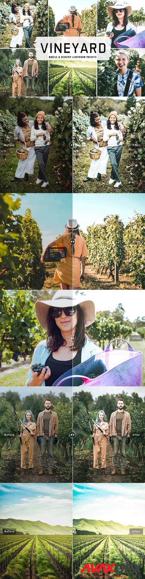 Vineyard Pro Lightroom Presets - 6525809