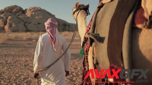 MotionArray – Bedouin Crossing The Desert With A Camel 781992