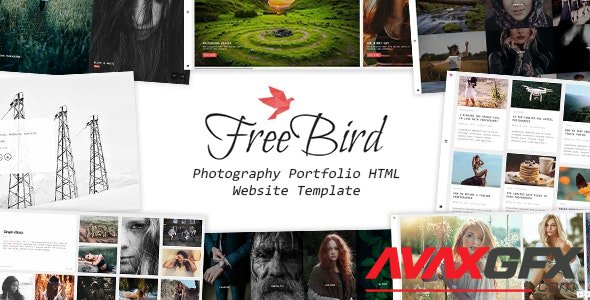ThemeForest - FreeBird v1.6 - Photography Portfolio HTML Website Template - 19180343