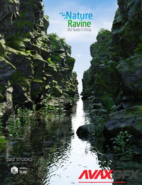 Nature Ravine