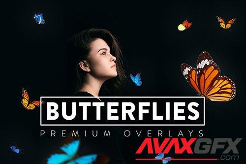 30 Butterflies Overlay-G3MYR3Z