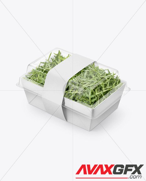 Salad Container Box with Arugula Mockup 62774