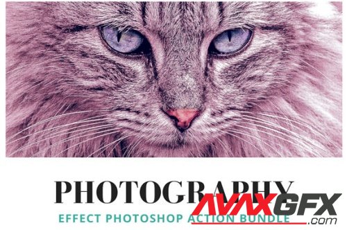 22+ Photography Effect PS Action Bundle