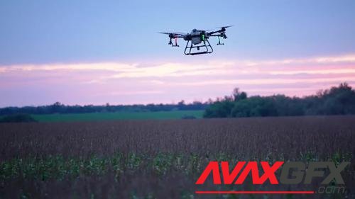 MotionArray – An Agricultural Drone Above The Crops 1033432