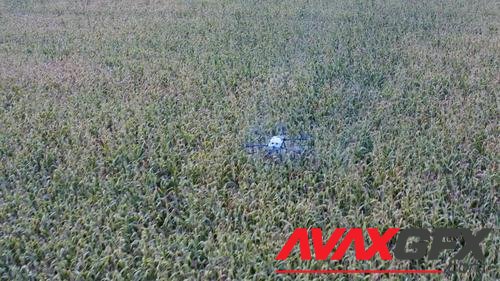 MotionArray – A Drone Above The Farm Crops 1033426