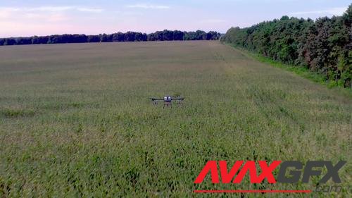 MotionArray – A Farm Drone Above The Green Crops 1033429