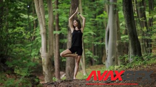 MotionArray – Womam Doing Yoga At Forest 1034684