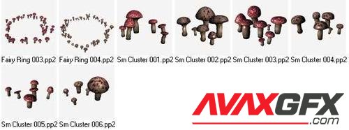 RDNA Mushroomz SmClusters and Rings 2