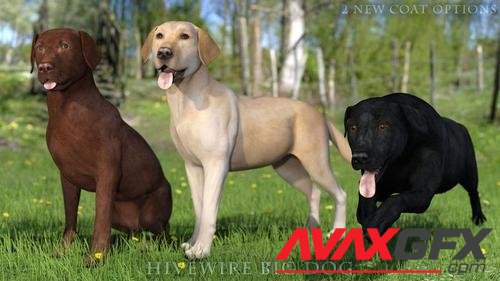 Black and Yellow Labs for the HiveWire Big Dog