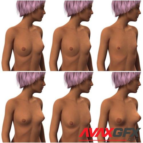 Petite Breast Morphs for Genesis 3 Female Pack 2