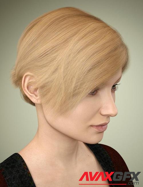 Sylvia Hair for Genesis 3 Female(s)