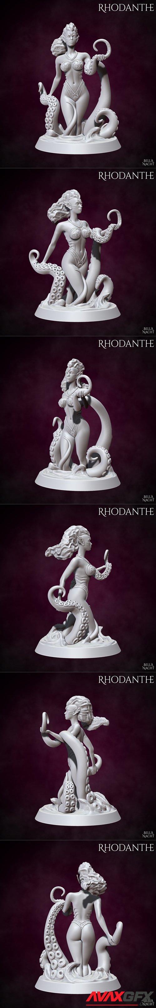 Rhodanthe – 3D Printable STL