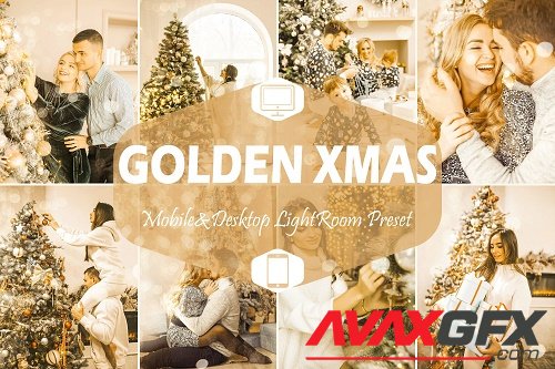 10 Golden Xmas Lightroom Presets- 1630249