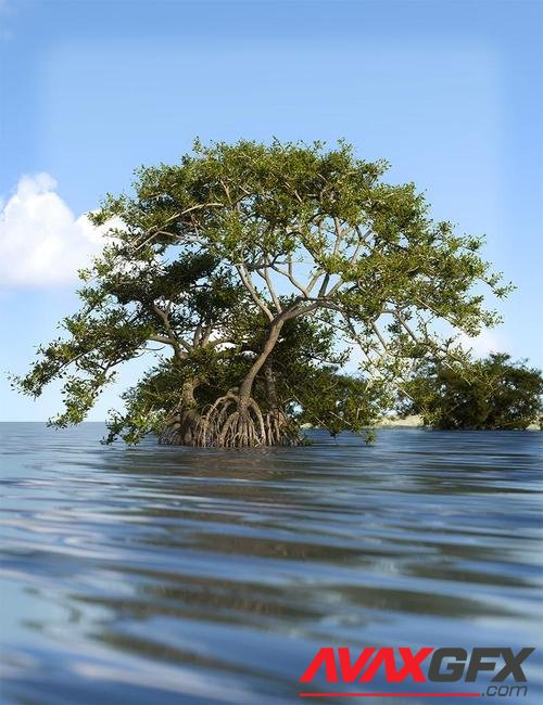 Mangrove Trees, Roots and Bushes for Iray