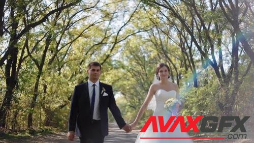MotionArray – Bride And Groom On A Forest Path 1037974