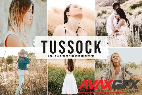 Tussock Pro Lightroom Presets - 6590756